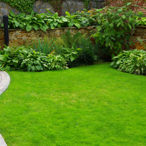 Grass Garden Grass Garden